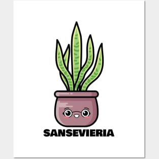 Sansevieria Posters and Art